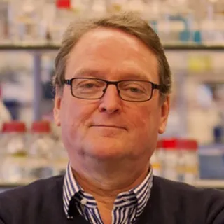 Henk Stunnenberg