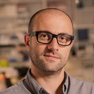Cyril Zipfel