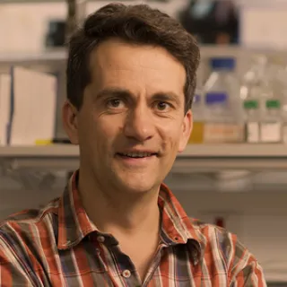 Radu Aricescu