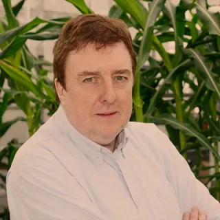 Dirk Inzé
