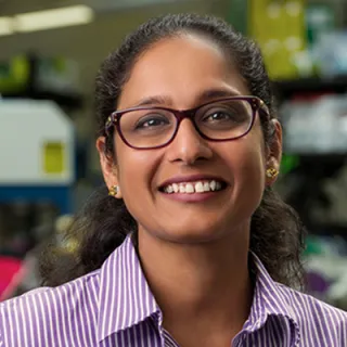 Nandini  Krishnamurthy