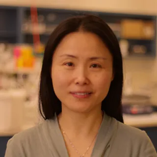 Jing Zhou