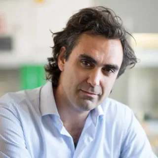 Andrea Alimonti