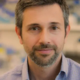 Georgios Skretas