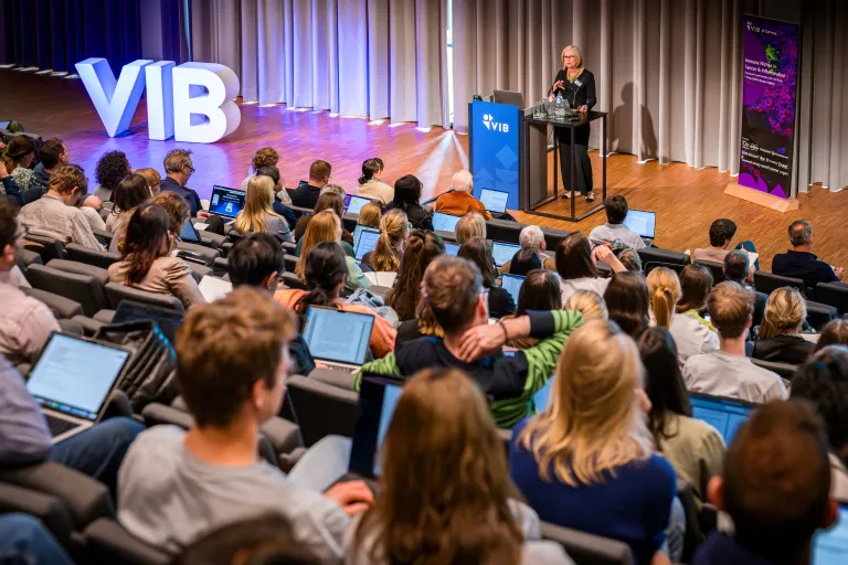 VIB Audience