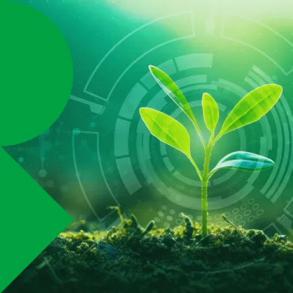 At the forefront of plant research (4th edition)